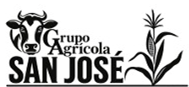 Logo Icon